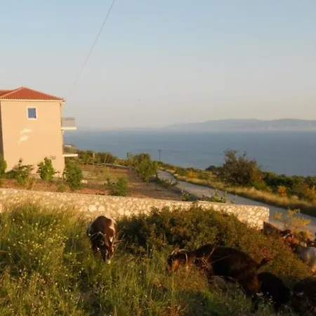 Regina * Lourdata (Kefalonia)
